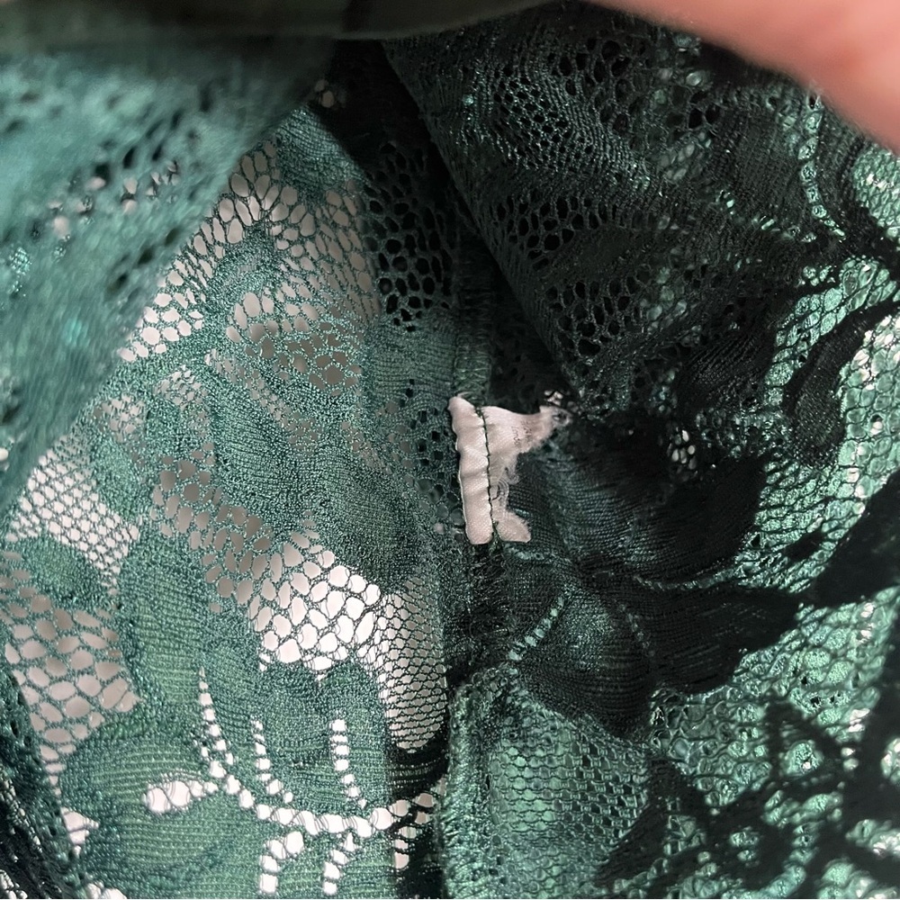 DOLAN x ANTHROPOLOGIE Sheer Lace Blouse - Picture 12 of 13